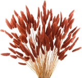 120Pcs Burnt Orange Bunny Tails Dried Flowers,17" Dried Faux Pampas Grass Bulk D Pampas Grass
