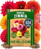 524 Zinnia Dahlia Flower Seeds Non-GMO for 2025 Pollinator Garden Outdoor Garden Plants