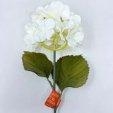 Ashland Stem Tige White Hydrangea Flower Hydrangea