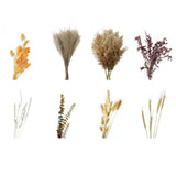 Dried Pampas Grass Natural Decorative Flowers Low Maintenance Decoration Pampas Grass