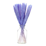 Purple Pampas Grass Decor,  30PCS 17 Inch(Length) Pampas Grass Bundle Pampas Grass