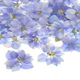 48-Pack Dried Pressed Flowers for Resin, Real Natural Bulk Dry Floral [Purple] Dried Flower