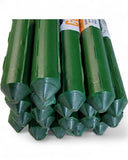 20 Garden Stakes (2.5' 3', 4', 5', and 6') Sturdy Steel Plant Stakes. All 7/16" Garden Plants