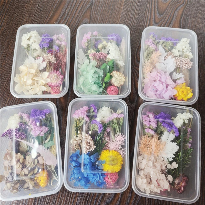 1 Box Random Mixed Varieties Colors Dried Craft Flowers Colorful DIY Material Dried Flower