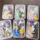 1 Box Random Mixed Varieties Colors Dried Craft Flowers Colorful DIY Material Dried Flower
