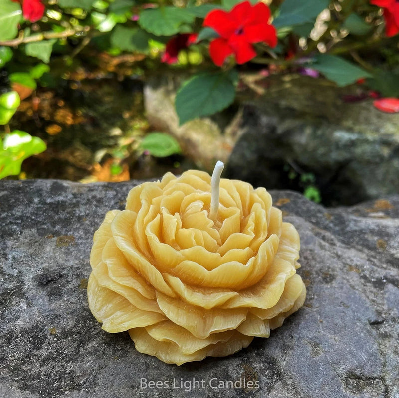 Yellow peony-shaped beeswax candle with a visible wick