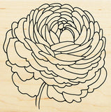 Single Ranunculus Flower STAMPENDOUS Wood Mounted Rubber Stamp NEW W206 Ranunculus