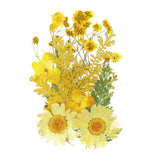 Dried Pressed Flowers Real Pressed Flowers Dry Leaves for DIY Crafts Yellow Dried Flower