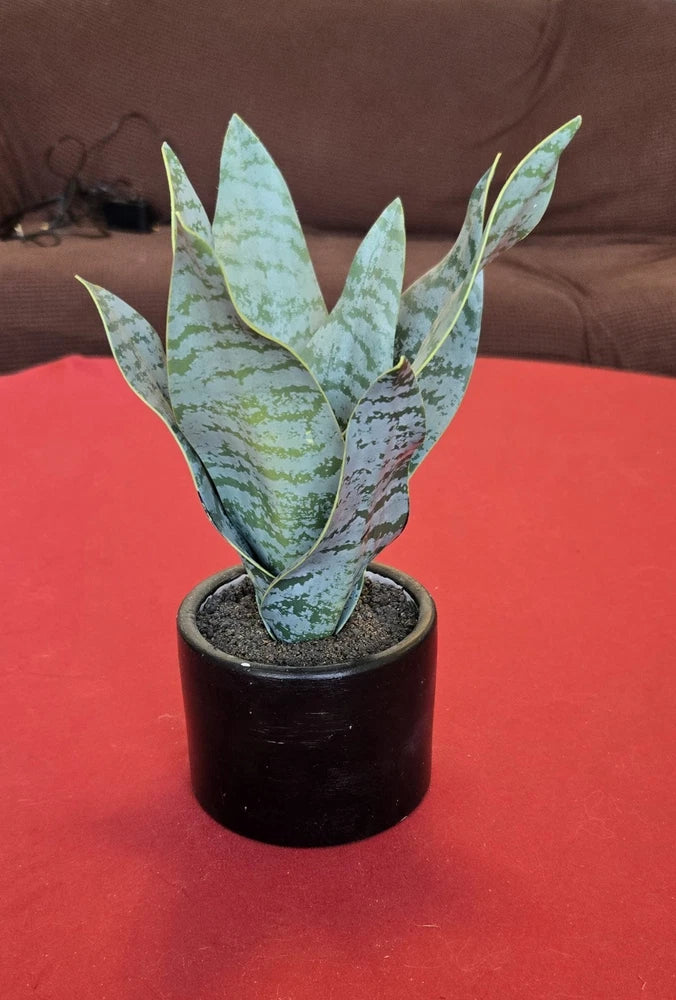 Artificial potted succulent plant with long green leaves, speckled variegation in black pot