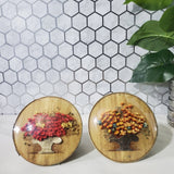 Antique Dried Flowers Bubble Glass Dome Convex Small Pictures Set of 2 Dried Flower