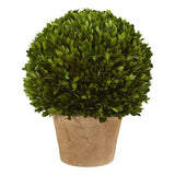 Nearly Natural 15" Boxwood Ball Preserved Plant in Planter in Green Green Plant