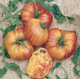 (20) OLD GERMAN Heirloom Tomato Seeds plants garden Garden Plants