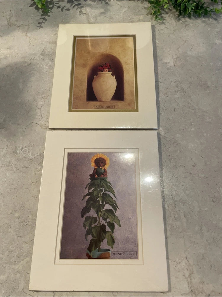 Anne Geddes matted baby prints with flower pot and sunflower plant, stacked 8x10