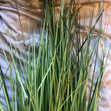 Two Artificial Grass Decor Green Plant