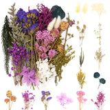 Dried Pressed Flowers for Jewelry Making Craft DIY - Violet Daisy Mix Dried Flower