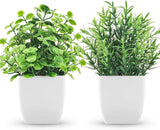 2 Pack Fake Plants Small Artificial Greenery Faux Plants Indoor for Home Farmhou Green Plant