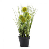 Pompom Grass In A Pot Faux Plants And Trees Green Plant