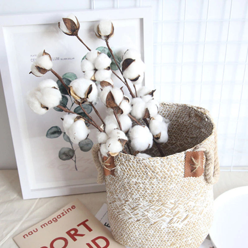 Naturally Dried 10 Heads Cotton Flower with Long Stem for Home, Wedding etc Dried Flower