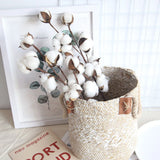 Naturally Dried 10 Heads Cotton Flower with Long Stem for Home, Wedding etc Dried Flower