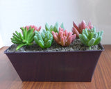 Set of 7 Artificial Flocking Mini Succulents Grass Landscape Green Plant