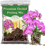 1 Quart Orchid Potting Mix with Dried Moss, Perlite, Coco Peat, and Pine Bark Orchids