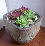 Set of 4 Artificial Succulent Plants Lotus Flowers (2 colors each Two) #152 Green Plant