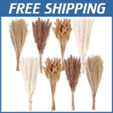Boho Style Dried Flower Bouquet - 200PCS Pampas Grass Decor Dried Flower