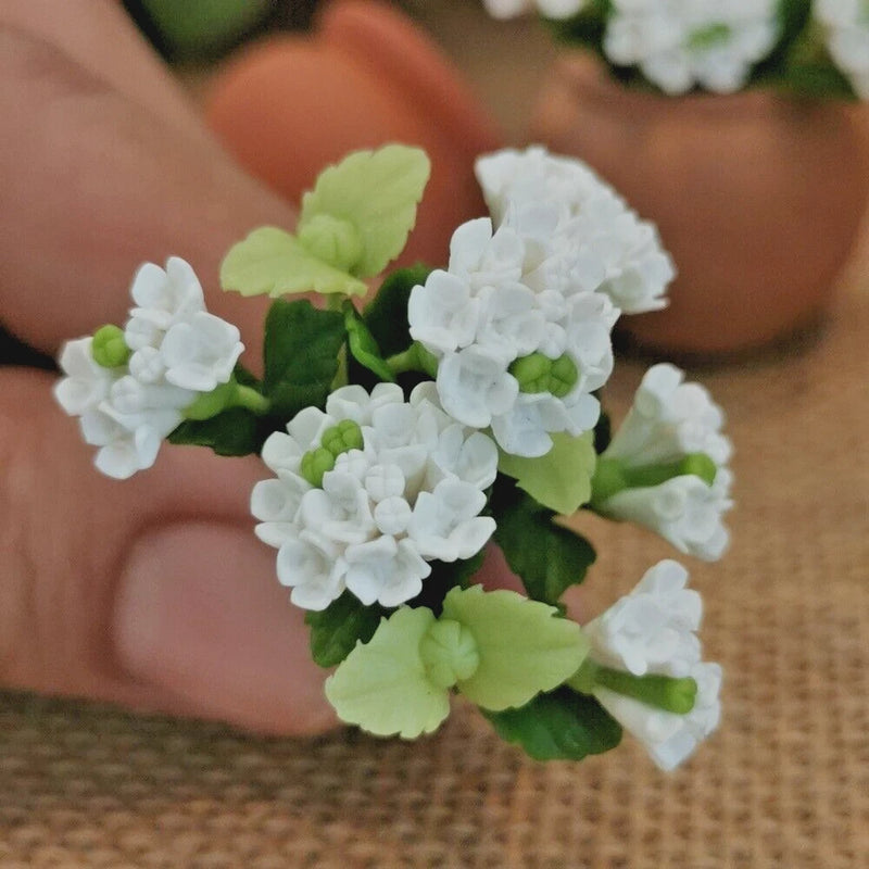 3 Miniature Dollhouse White Hydrangea Clay Flower Collectible and Home Decor Hydrangea