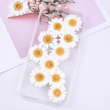 12PCS Real Pressed Dry flower, white daisy flower for art, candle, craft FCD27 Dried Flower