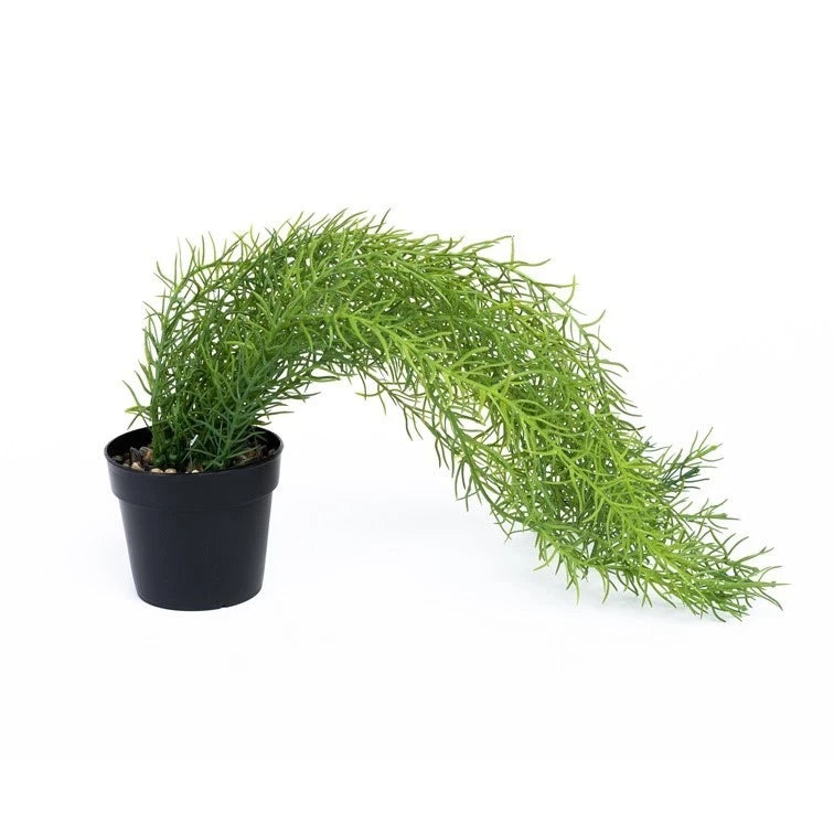 Artificial Plant Domoletti, Green, 46 Cm Green Plant