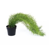 Artificial Plant Domoletti, Green, 46 Cm Green Plant