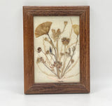 Vintage Pressed Dried Flower Botanical Art Oak Frame Cottagecore Boho Rustic Dried Flower