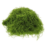 Potted Plant Moss Wall Decor Artificial Decorative Faux for Crafts Green Plant