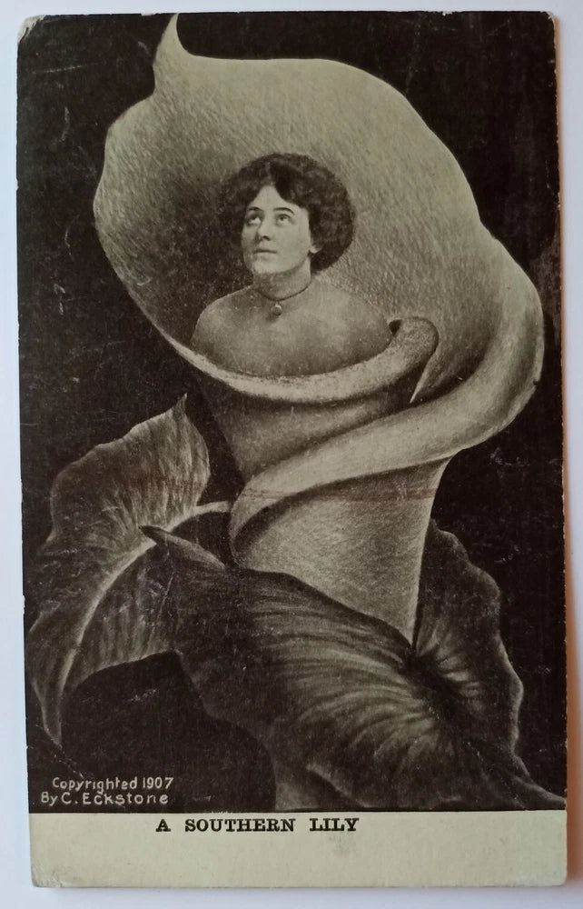 Vintage postcard featuring a woman holding a lily, with text "A SOUTHERN LILY"