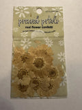 NEW SEALED Pressed Real Flower Petals Daisy Confetti USA Vintage Retired #19 Dried Flower