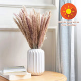 30 pieces dried decoration pampas grass decoration naturally dried flowers 45 cm Pampas Grass