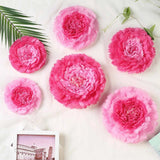 6 pack 7" 9" 11" Fuchsia and Pink Tissue Paper Carnation Flowers Home Backdrop Carnation