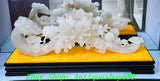 26.7''Old Natural White Jade Carved  Fengshui Peony Flower Peach Ruyi Statue Peony