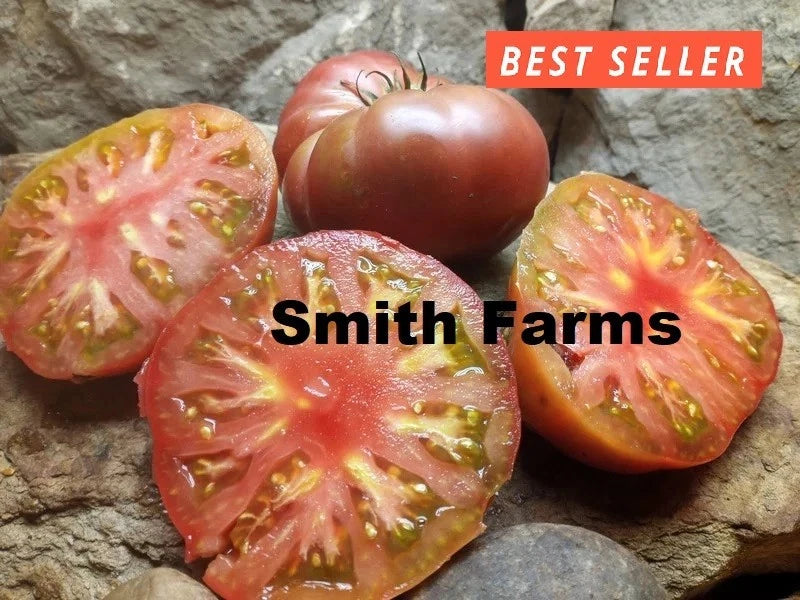 50+ Seeds Dwarf Black Angus Tomato Easy Vegetable Garden Planting Edible Garden Plants