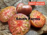 50+ Seeds Dwarf Black Angus Tomato Easy Vegetable Garden Planting Edible Garden Plants
