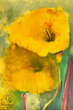 Victoria Montesinos YELLOW LILY Hand Signed Limited Edition Lithograph Art Lily