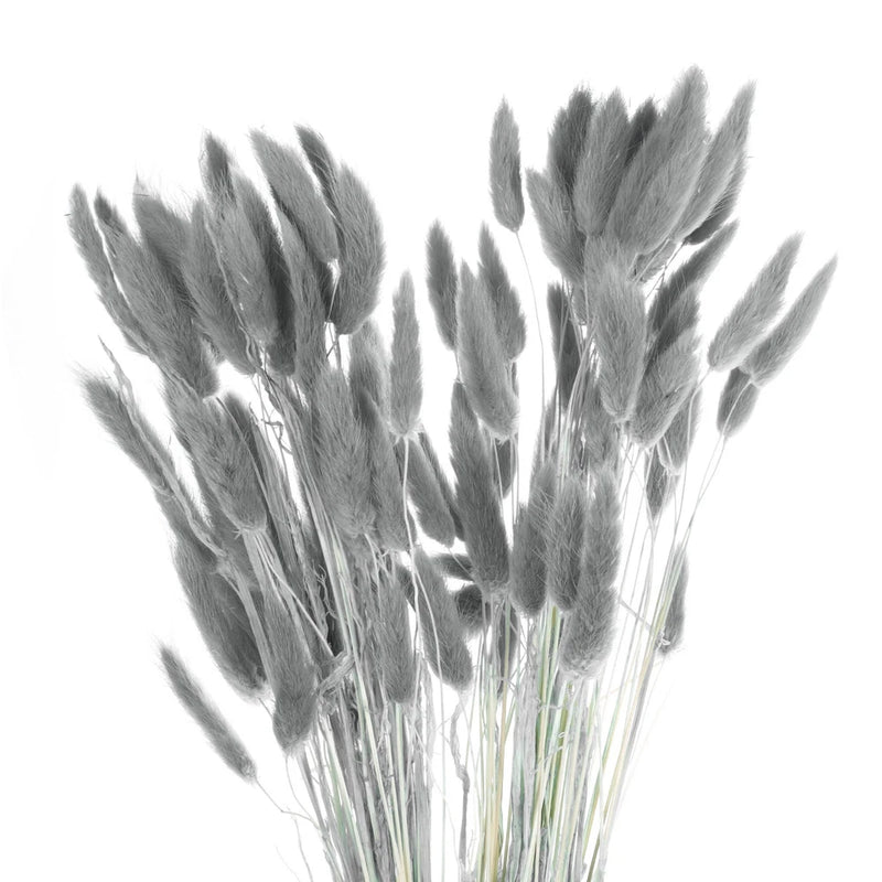 120pcs Natural Bunny Tail Dried Flowers 18" Mini Pampas Grass, Gray Pampas Grass