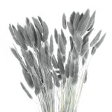 120pcs Natural Bunny Tail Dried Flowers 18" Mini Pampas Grass, Gray Pampas Grass