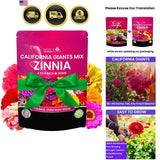 Zinnia Seeds Flower Seeds for Garden Outdoor Summer Planting 4000+ Garden Plants