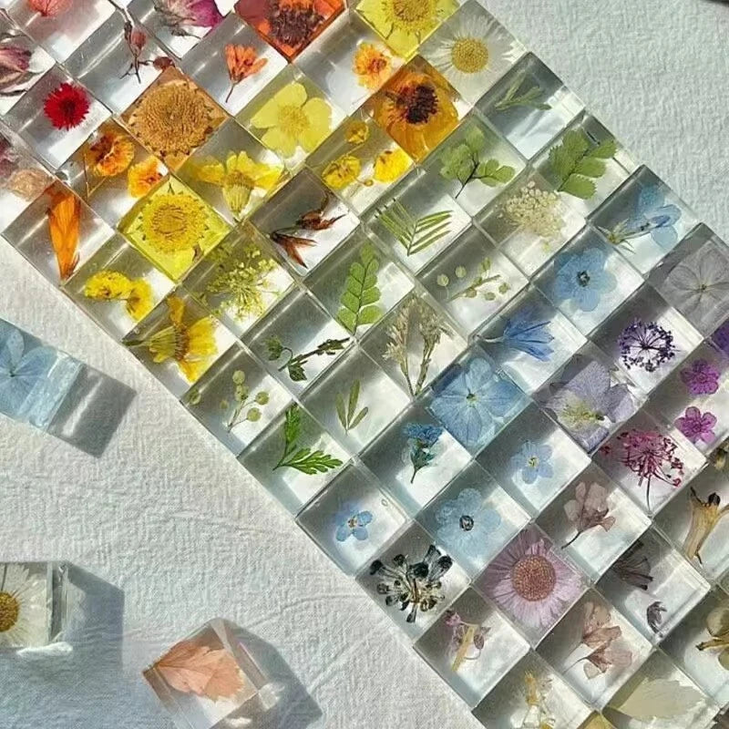 Resin dried flower specimen cubes in assorted colors, clear square display blocks