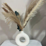 White Ceramic Vase with Pampas Grass Pampas Grass