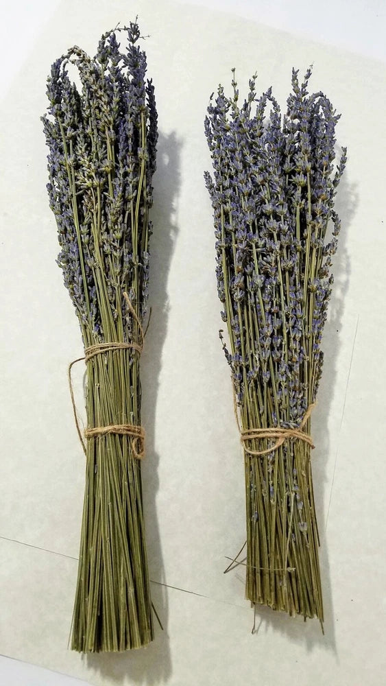 Set of 2 dried lavender flower bundles tied with twine