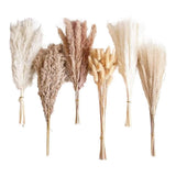 For Indoor Dried Pampas Grass Decorative Arrangement Flexible Addition Pampas Grass