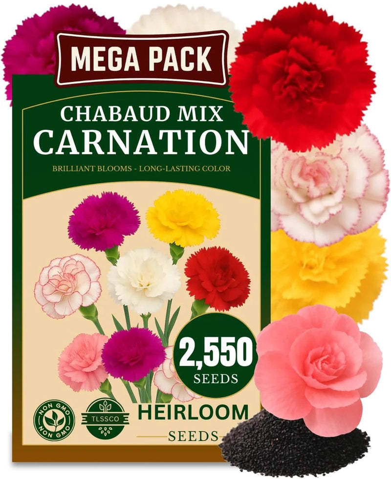 2550+ Carnation Flower Seeds for Planting, Pack for 2026 USA Premium Non-Gmo Carnation