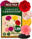 2550+ Carnation Flower Seeds for Planting, Pack for 2026 USA Premium Non-Gmo Carnation